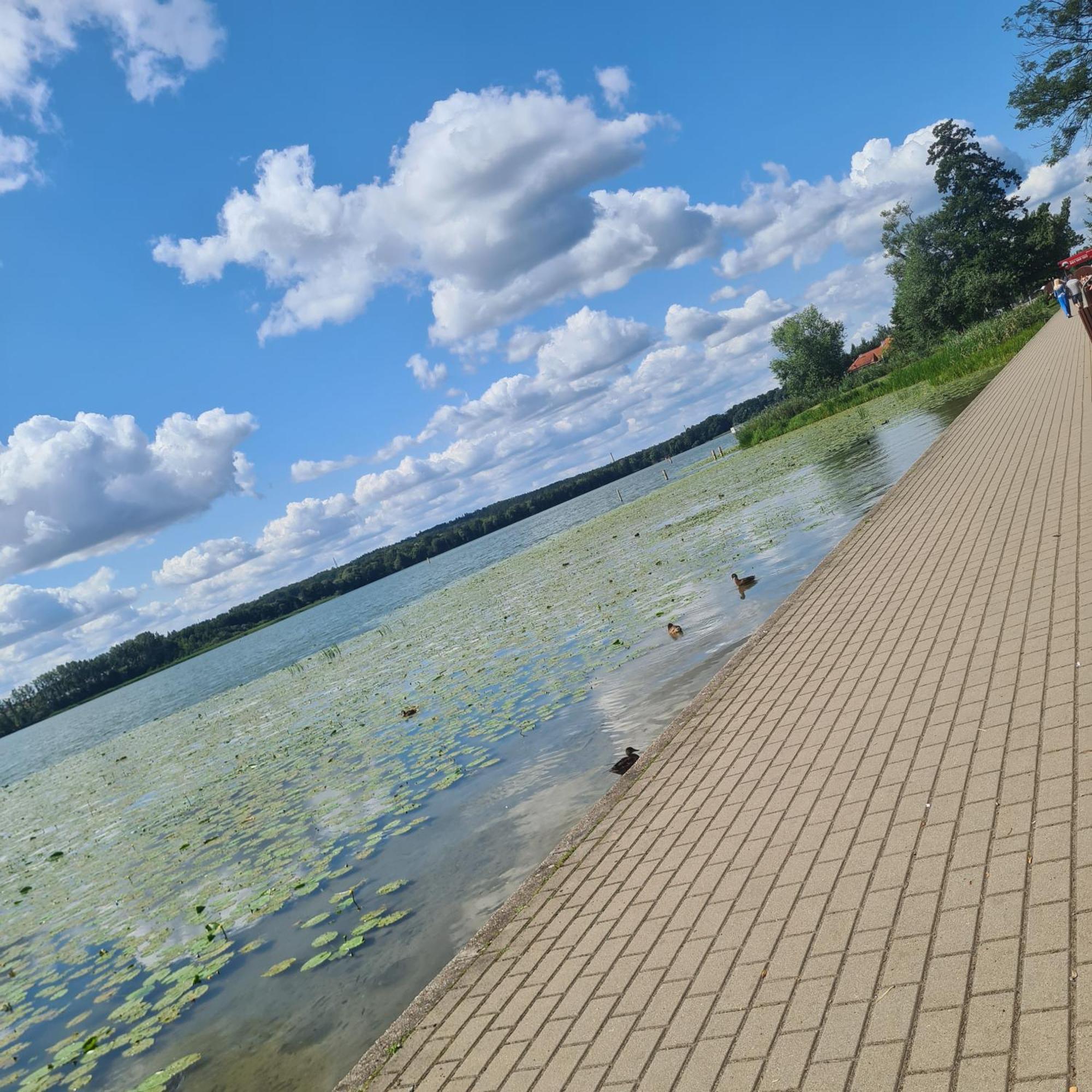 Apartament Villa Klar Ostróda Buitenkant foto